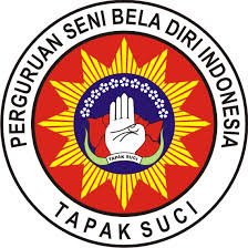 Logo Tapak Suci Putera Muhammadiyah